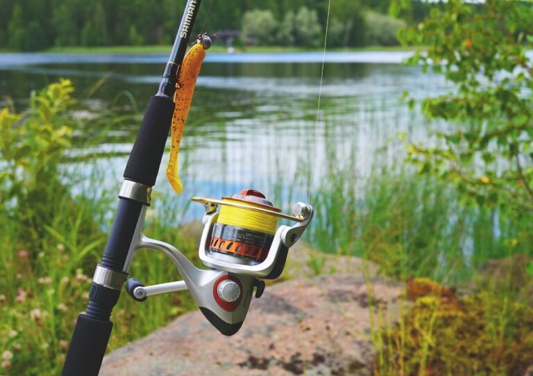 Freshwater fishing is a beloved pastime worldwide, offering both tranquility and excitement in nature. Whether for relaxation or competition, it requires skill, patience, and a deep respect for aquatic ecosystems..