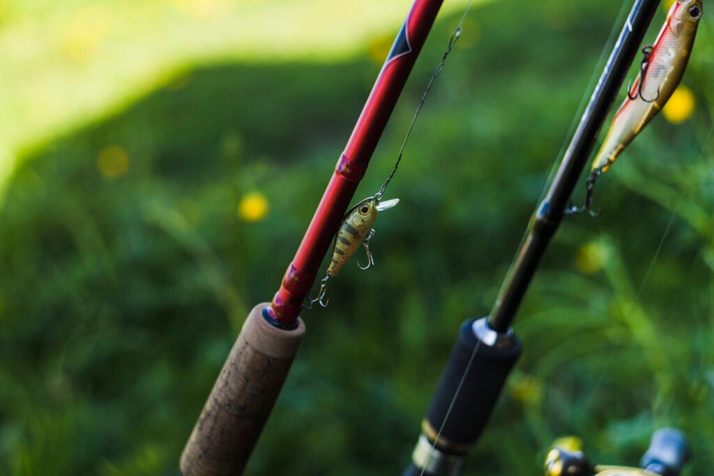 Fly Fishing Rods: Which One Casts the Best?