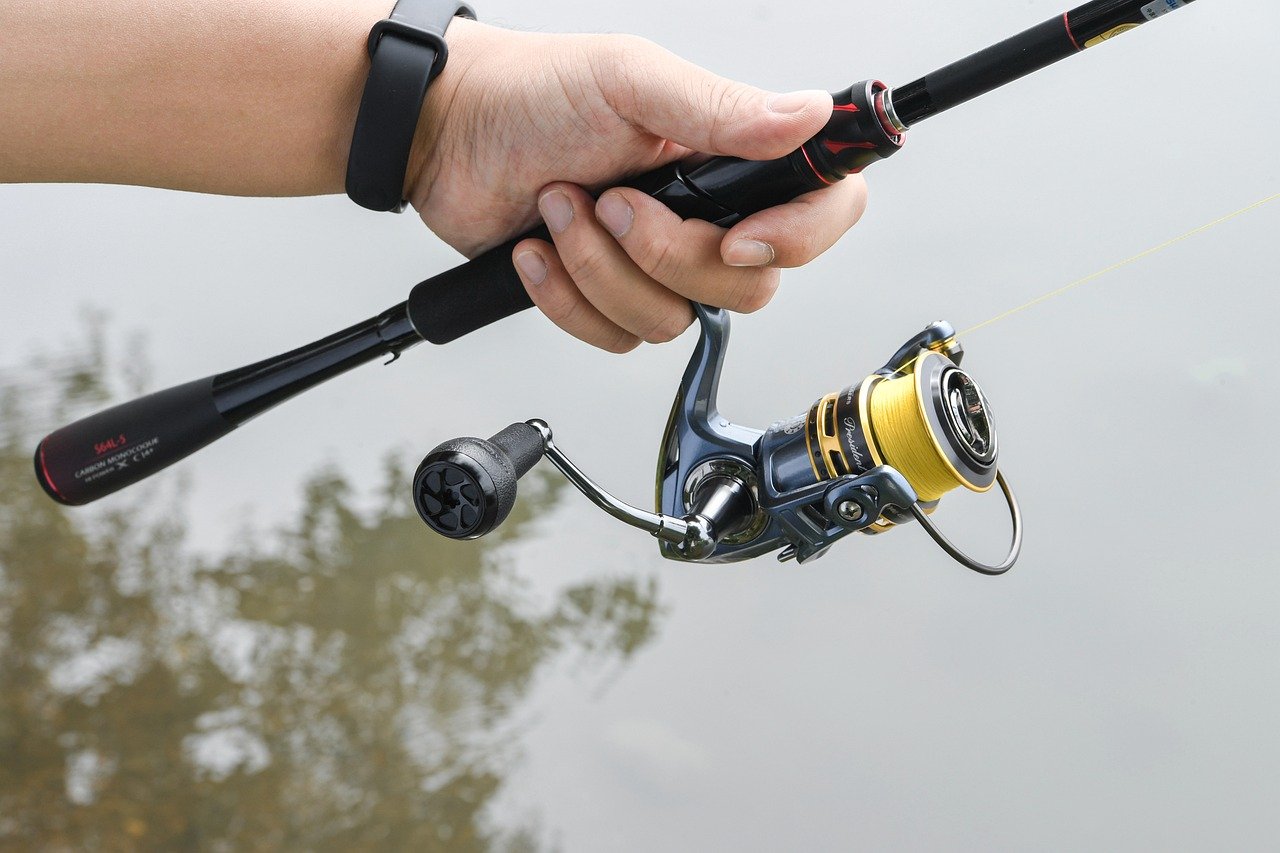 gomexus, spinning reel, fishing-8051309.jpg